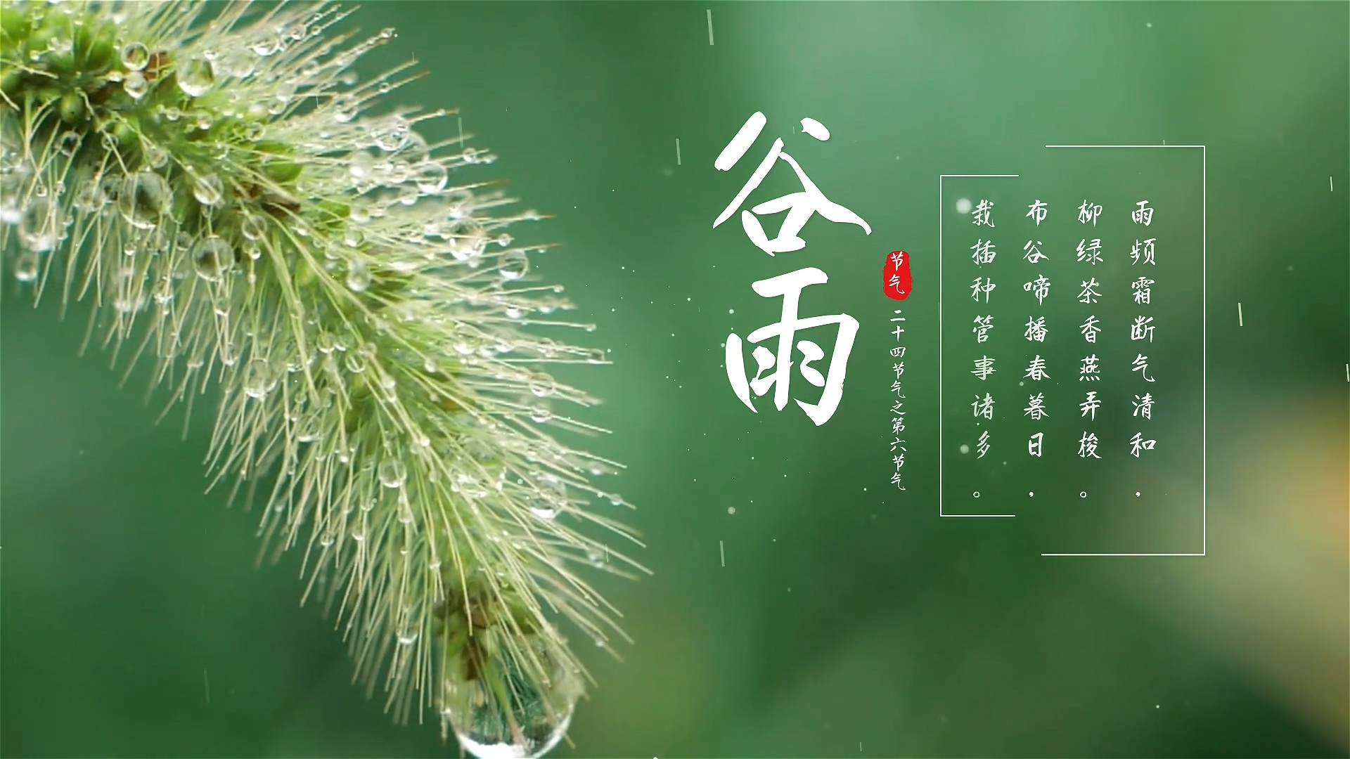 汇隆科技